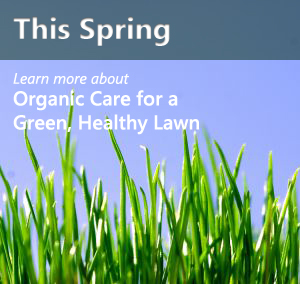 Organice Lawn Care ofr Green, Healthy Lawn