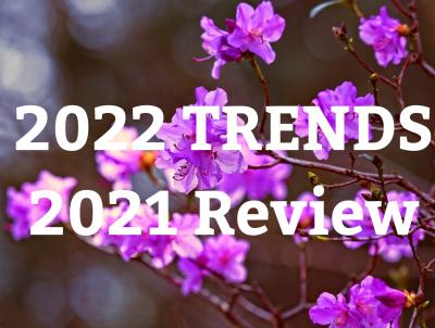 Landscaping Trends for 2022 and Reflections on 2021 Landscaping Trends for 2022 and Reflections on 2021