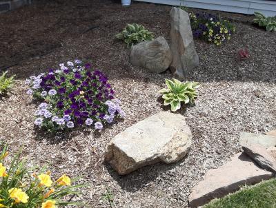 Boulders adding texture and interest to a landscape bed. Boulders adding texture and interest to a landscape bed.