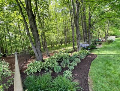 Edge of property plantings make for a nice view. Edge of property plantings make for a nice view.