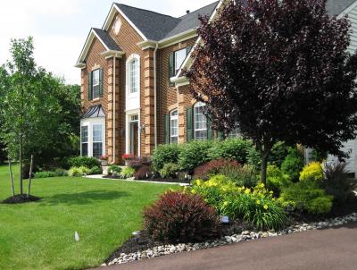 Front yard landscaping in Chester Springs, Pa