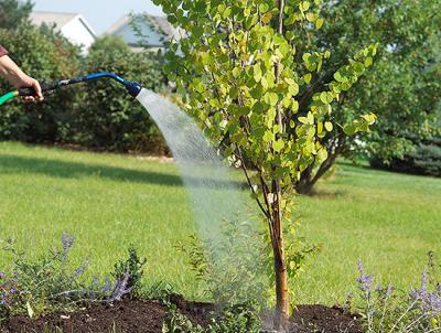 Garden hose with watering wand Garden hose with watering wand