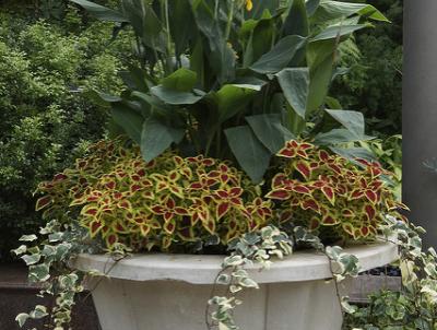 Photo: Longwood Gardens Photo: Longwood Gardens
