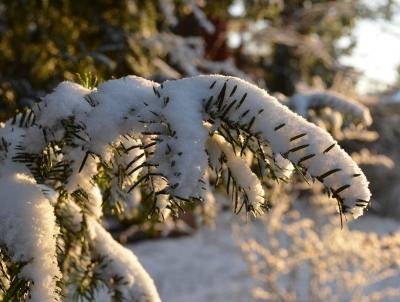 Use upward motion with broom to remove heavy, wet snow. Use upward motion with broom to remove heavy, wet snow.