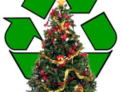 Recycle Christmas Tree Recycle Christmas Tree
