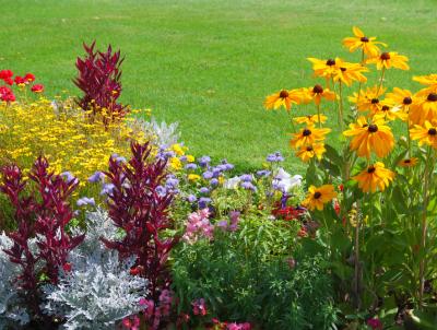 "Flowers always make people better, happier and more helpful; they are sunshine, food and medicine for the soul" - Luther Burbank "Flowers always make people better, happier and more helpful; they are sunshine, food and medicine for the soul" - Luther Burbank
