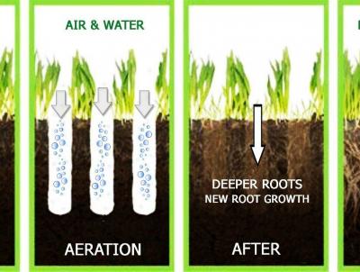 The benefits of Aeration and Overseeding The benefits of Aeration and Overseeding