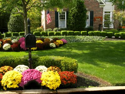 By properly edging, mulching and planting flowers your landscape beds will increase your curb appeal a lot.