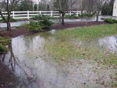 Yard Drainage Problem Yard Drainage Problem