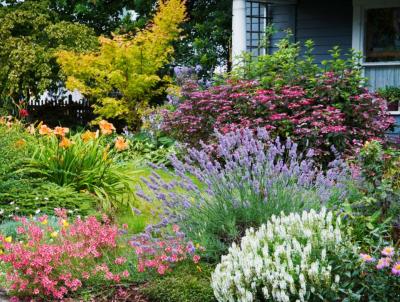 Beautiful gardens happen with knowledge and a little TLC. Beautiful gardens happen with knowledge and a little TLC.