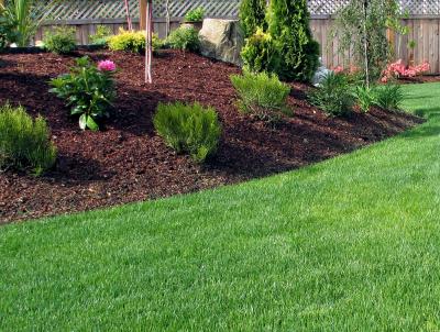 Landscape Maintenance Services keep lawns healthy and green and beds weed free.
