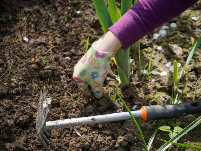 Digging out weeds is time consuming at first but the more often you weed, the less time it takes.