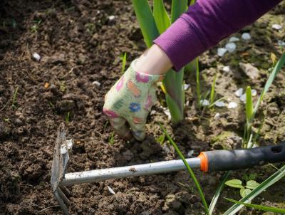 Digging out weeds is time consuming at first but the more often you weed, the less time it takes. Digging out weeds is time consuming at first but the more often you weed, the less time it takes.
