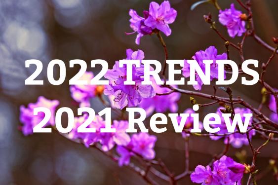 Landscaping Trends for 2022 and Reflections on 2021