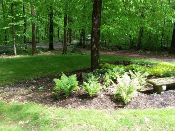An island bed adds interest to a front lawn in Schwenksville