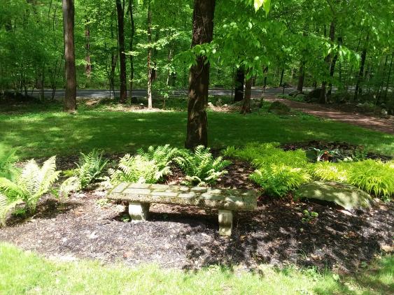 A mulched, landscaped bed with shade loving plants.