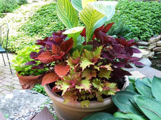 Planter in Schwenksville gives a pop of color.