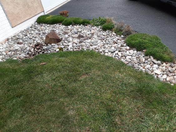 The base of a downspout is a perfect place to add stone to absorb the excess runoff.