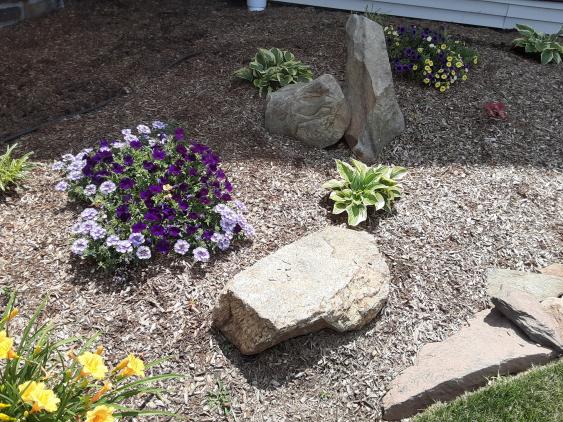 Boulders adding  texture and interest to a landscape bed.