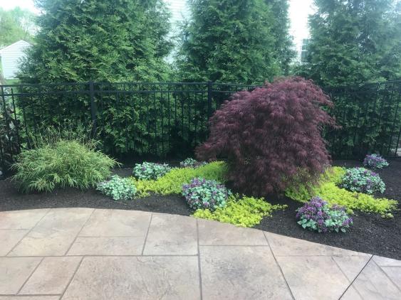 Gilbertsville installation with mulch and plantings that minimize weeding.