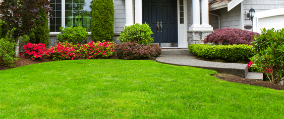 Edge and clean out garden beds.