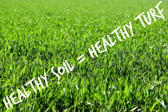 Healthy soil is resistant to insect and disease damage, requires less water and chokes out weeds.