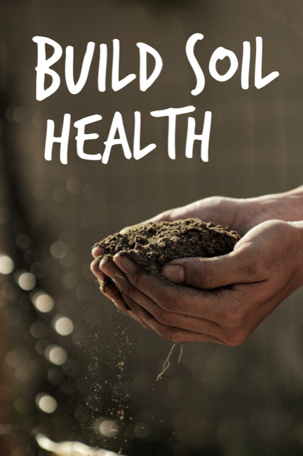 Healthy Soil = Healthy Turf