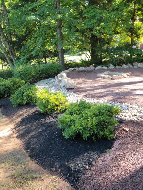 Informal fire pit area with landscaping surrounding it.