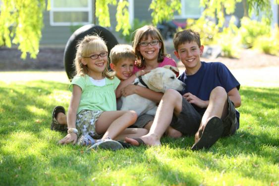 Our lawn care program is safer for children and pets.
