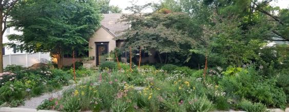Jeff Epping's home after conventional yard was removed and a more natural, self sustaining gravel garden was established.