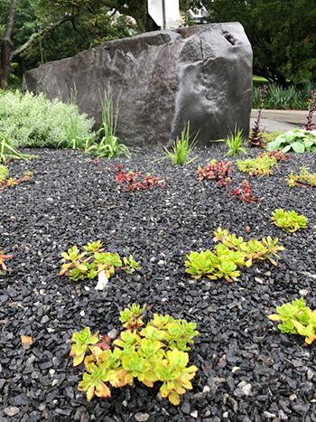 An example of a gravel garden at Swarthmore College.  Photo Credit: S. Quinn