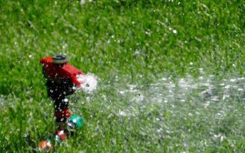 Keep lawn surface moist for 3 weeks.