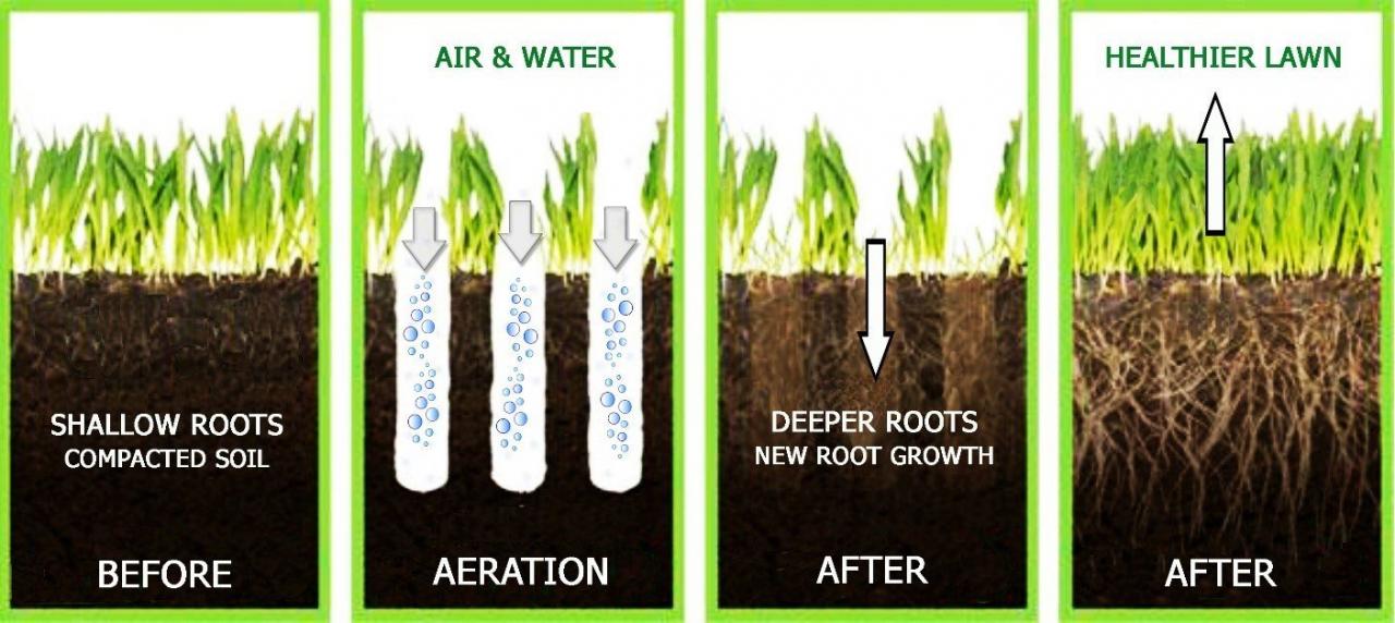 Aeration And Overseeding For A Healthy Thicker Lawn In Montgomery And Chester Counties Pa Whitehouse Landscaping