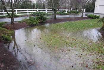 Yard Drainage Problems And How To Fix Them Whitehouse Landscaping