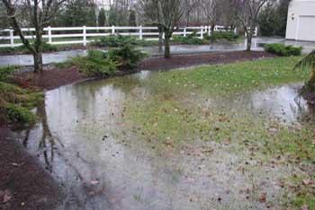 Yard Drainage Problems | Whitehouse Landscaping