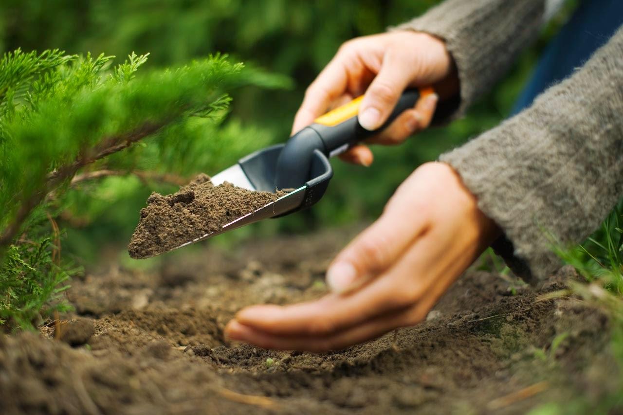 the importance of soil testing in your landscape plan whitehouse soil sample