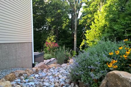 Landscaping in Pottstown, PA with stones and black eyed susans