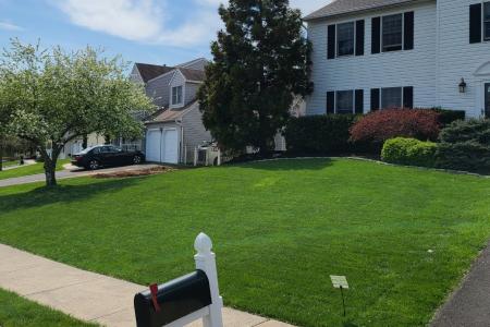 A well maintained lawn by Whitehouse Landscaping.