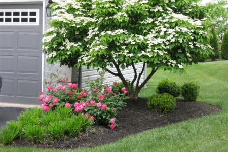 Landscaping, Royersford