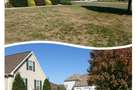 Before and After photo of lawn treated by Whitehouse Landscaping in Schwenksville, PA