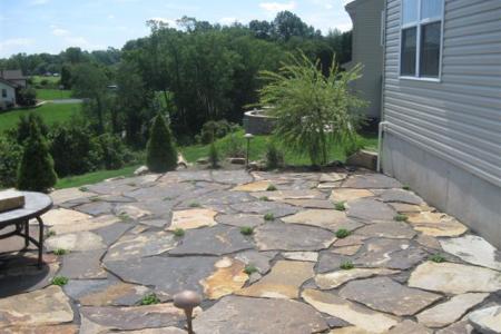 A small Western Mountain Flagstone patio in Douglassville is interspersed with creeping Mazus plant that tolerates foot traffic.