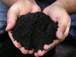 Organic Based Lawn Care organic lawn care Collegeville, Pa
