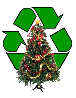 RecycleChristmaTrees