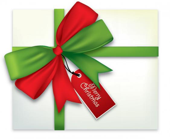 GIVE A GIFT CERTIFICATE THIS CHRISTMAS FOR LANDSCAPING