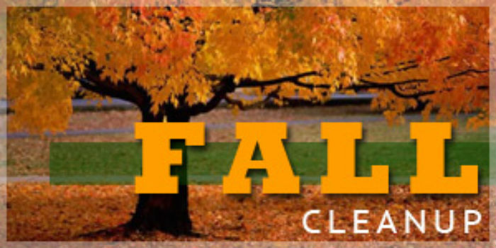 fall-cleanup