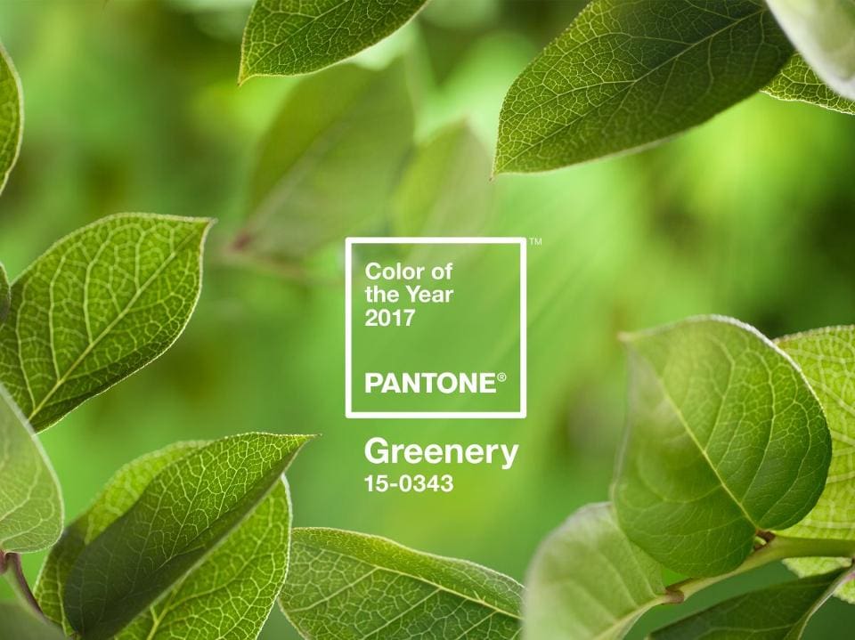 PANTONE-Color-of-the-Year-2017-Greenery-15-0343-leaves-2732x2048-1200x900