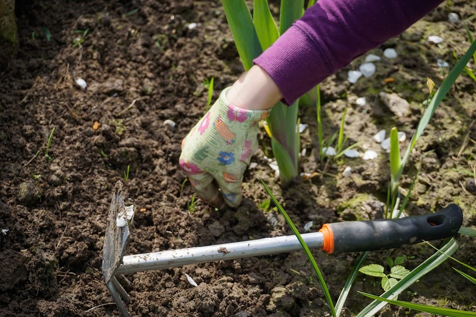 work-in-the-garden-2432111_960_720