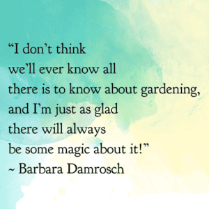 The Beginner's Guide to Landscaping Terms | Whitehouse Landscaping
