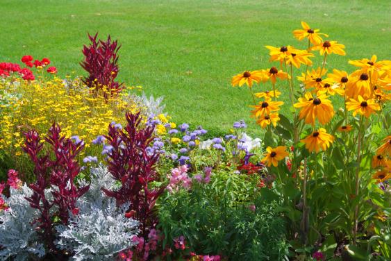 Shutterstock Flower Garden