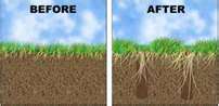 Aeration & Overseeding 2